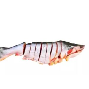 Pangas 1kg (After cutting and cleaning) Catfish