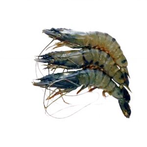Bagda Chingri 1Kg (Tiger Prawns or Shrimps)