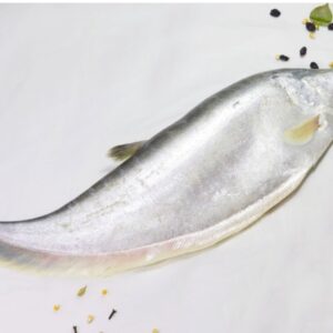 Chitol Mach 1Kg (চিতল মাছ / Chitol Fish)